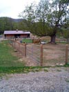 Alpaca Farm